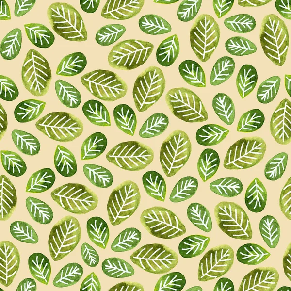 Motif aquarelle sans couture de feuilles de plantes vertes — Photo