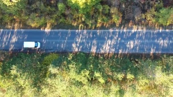 Estrada na vista superior da floresta — Vídeo de Stock