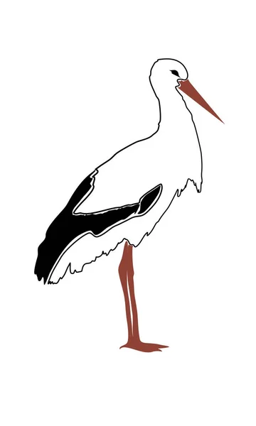 Vektorform Stork Siluett — Stock vektor