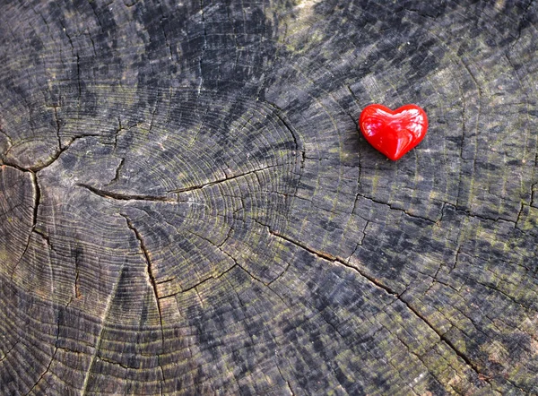 Herz Wald Aus Holz — Stockfoto