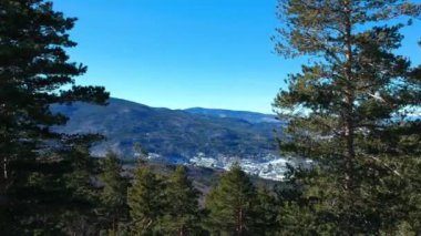 Bir kış dağ ağaçlarda üzerinde uçmak