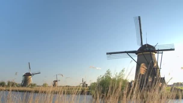 Campo con molinos de viento girando a lo largo del canal — Vídeos de Stock