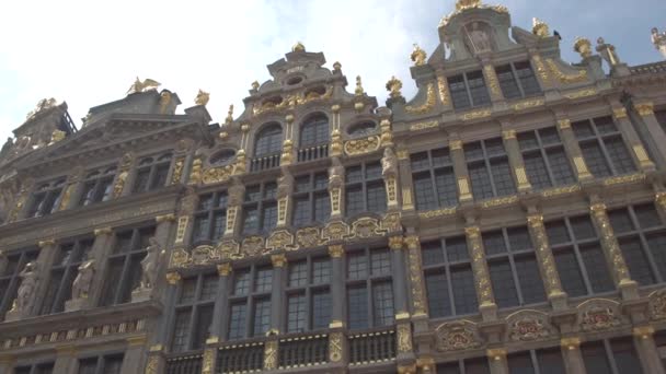 Grote marktplein in Antwerpen — Stockvideo