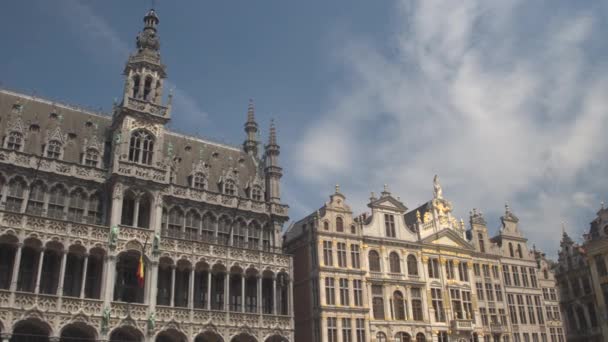 Königshaus am großen Markt in Brüssel — Stockvideo