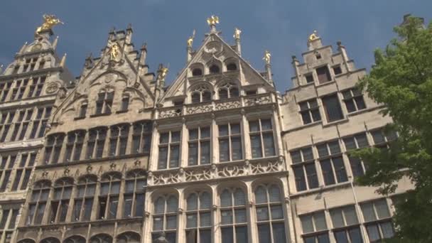 Great Market square in Antwerp — Stock Video