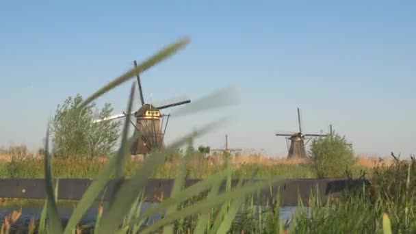 Campo con molinos de viento girando a lo largo del canal — Vídeos de Stock