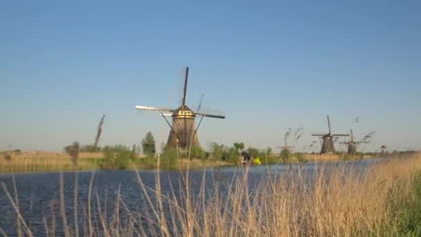 Сельская местность с поворотными ветряными мельницами вдоль канала — стоковое видео