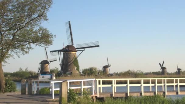 Campagne avec des moulins à vent tournant le long du canal — Video