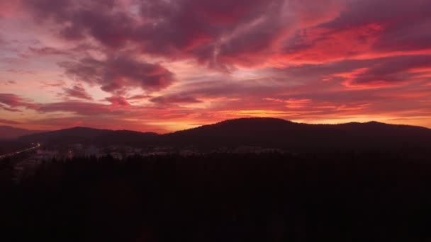 Kleurrijke zonsondergang in het bos — Stockvideo
