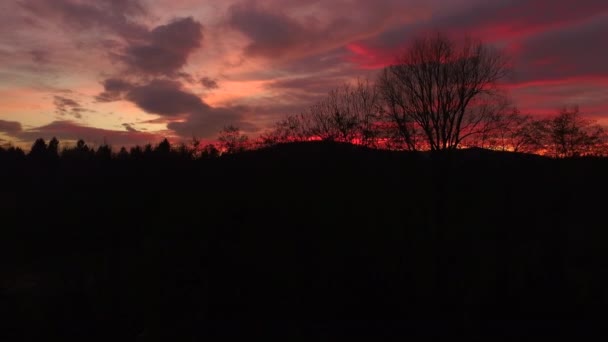 Farbenfroher Sonnenuntergang im Wald — Stockvideo
