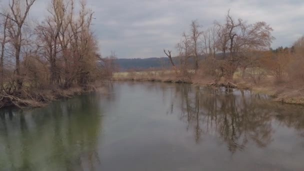 Río místico con árboles — Vídeo de stock