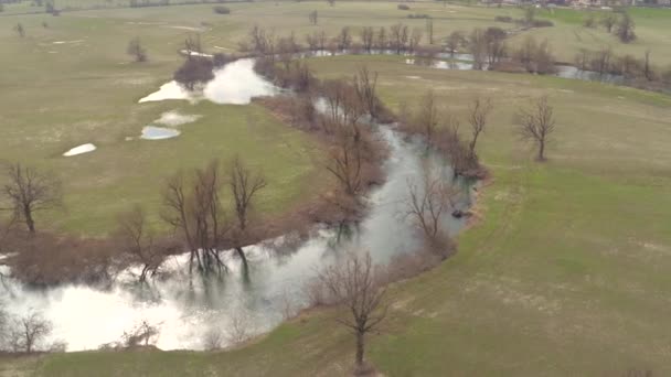 belle rivière avec des arbres 