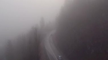 yol sisli orman
