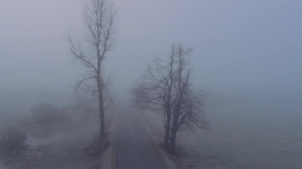 Közúti ködös erdő — Stock videók