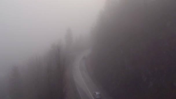 Straße im nebligen Wald — Stockvideo