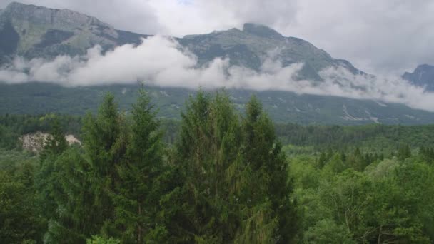 Θέα στο βουνό και το πράσινο δάσος — Αρχείο Βίντεο