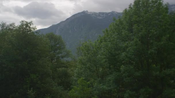Mountain and green forest — Stock Video