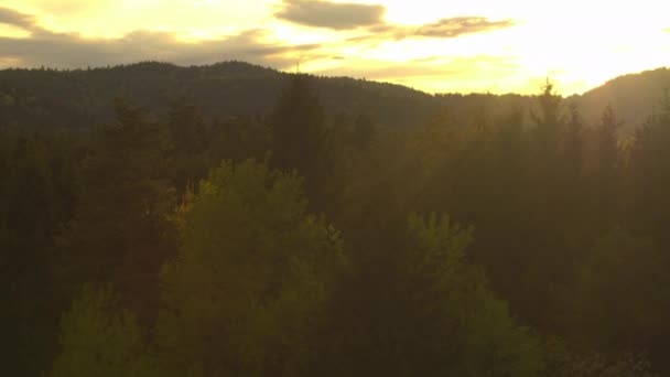 山和森林在日落 — 图库视频影像
