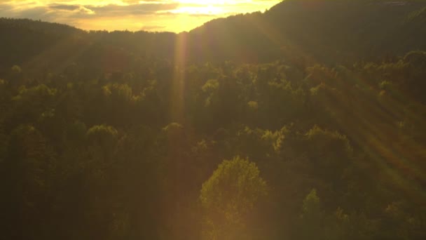 Berg och skog i solnedgången — Stockvideo