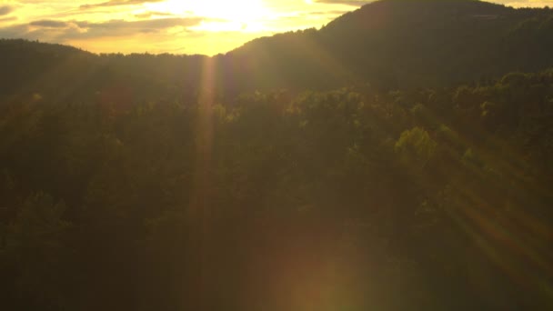 Berg und Wald im Sonnenuntergang — Stockvideo