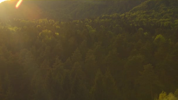 Montanha e floresta ao nascer do sol — Vídeo de Stock