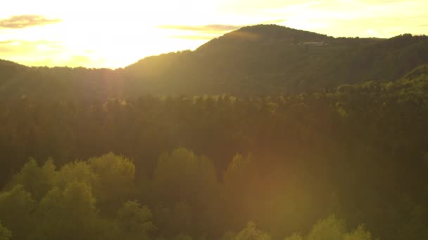 Berg und Wald im Sonnenaufgang — Stockvideo