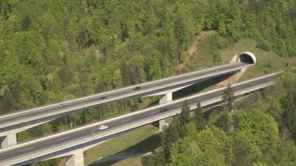 Große Brücke im Wald — Stockvideo