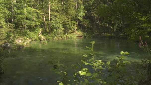 Río corriendo hacia el lago de montaña — Vídeo de stock