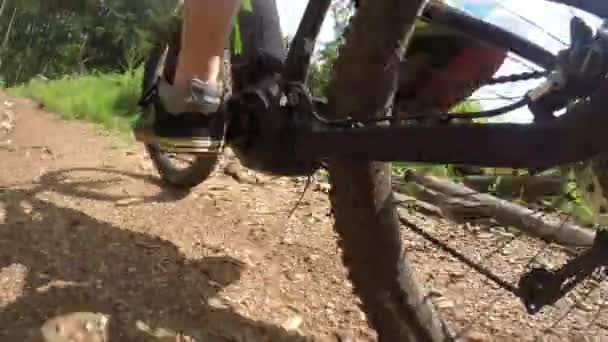 Adam pedal Elektrikli bisiklet — Stok video
