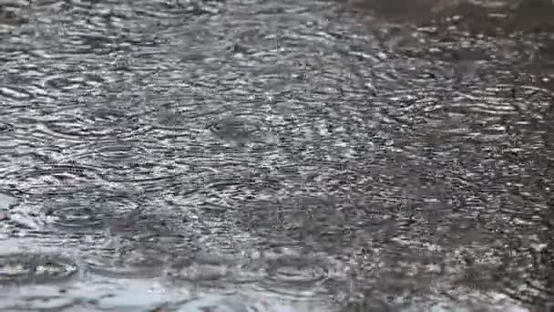 FECHAR UP: Incrível padrão circular criado na superfície da água da poça por gotas de chuva — Vídeo de Stock