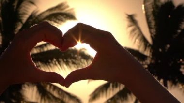 Yakın: golden sun'ın arka planda yemyeşil palm kalp elle yakalamak