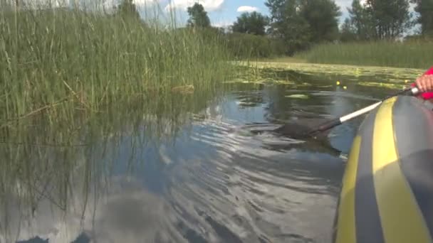 Nahaufnahme: Rudern inmitten faszinierender Wasserpflanzen in bewachsenen Feuchtgebieten — Stockvideo
