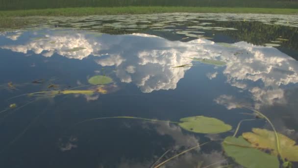 Närbild: Fantastisk spegelblanka sjön vattenytan speglar stora fluffigt vita moln — Stockvideo