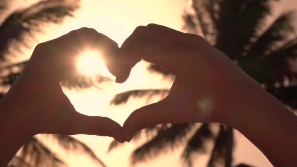 Close-up: Het maken van hart met de handen over de gouden zon met weelderige palmen in achtergrond — Stockvideo