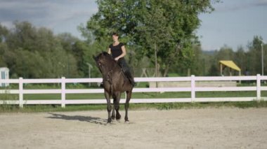 Ağır çekim: kumlu padok traver yapıyor büyük güçlü kas karanlık aygır