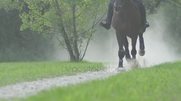SLOW MOTION: Giovane donna cavalcando il suo stallone su un sentiero polveroso nel ranch dei cavalli — Video Stock