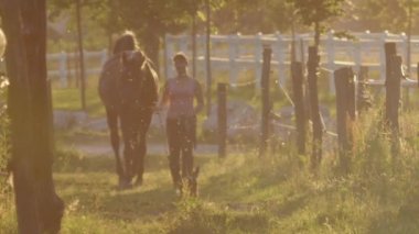 Yavaş hareket: bir at ahır altın günbatımında alanından önde gelen genç kadın