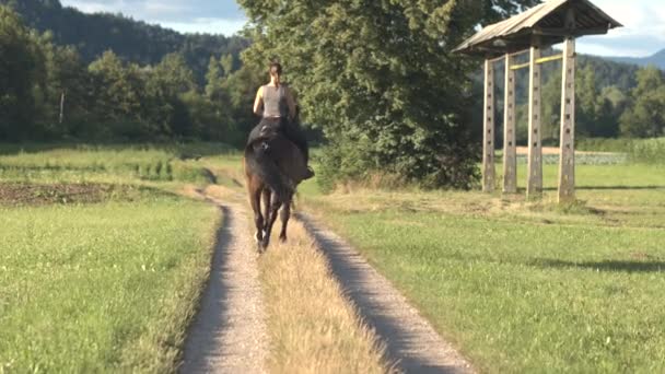 Wanita muda yang bahagia santai di alam dan menunggang kuda cokelat kegelapannya — Stok Video
