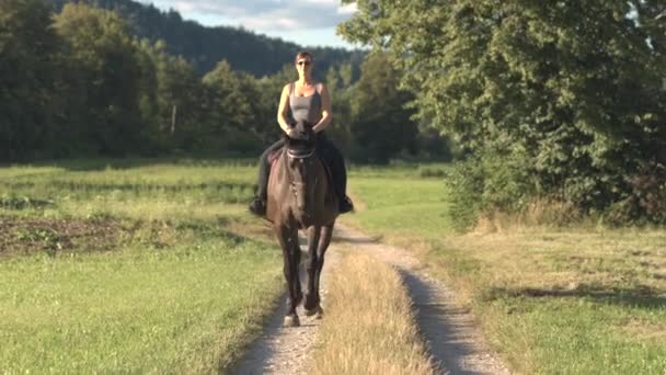 Joven mujer alegre relajándose en la naturaleza y montando su caballo semental de bahía oscura — Vídeo de stock