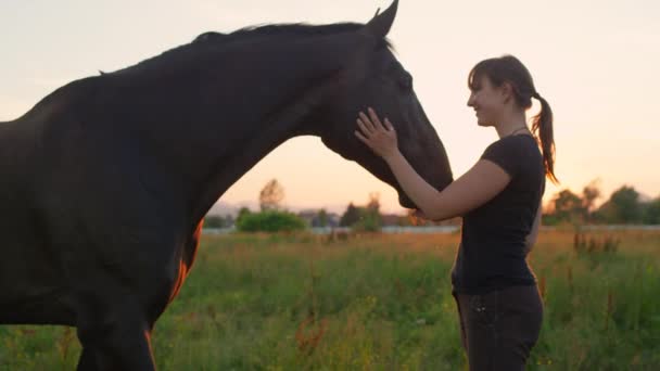 CERRAR: Mujer joven sonriente acariciando y acariciando a su mejor amigo caballo — Vídeo de stock