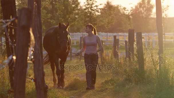 Молода жінка, що веде коня на коні і ставить його під час заходу сонця — стокове відео