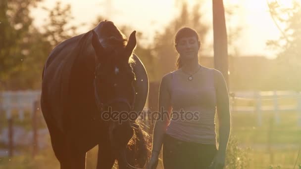 CERRAR: Muchacha sonriente llevando un caballo del campo al granero al atardecer dorado — Vídeos de Stock