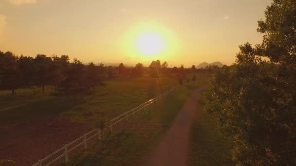 Luchtfoto: Vliegen dicht boven jong meisje paardrijden groot paard op een ranch — Stockvideo