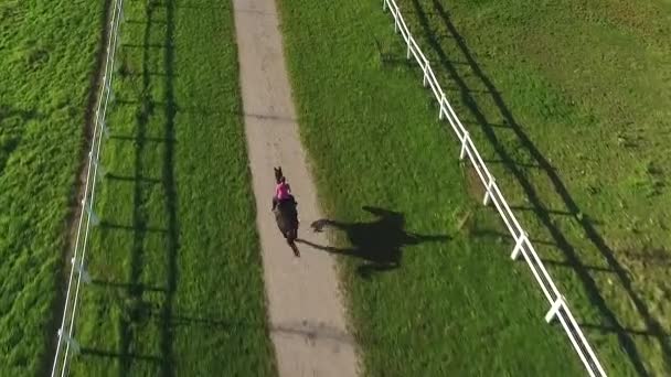 AERIAL: Female horseback riding powerful stallion on walkway on horse ranch — Stock Video