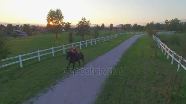 AERIAL: Niña montando a caballo a lo largo de los campos en el suburbio pequeño pueblo al atardecer — Vídeos de Stock