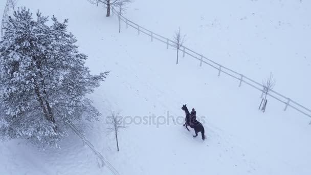 AERIAL: Mujer joven a caballo montando un caballo en el país de las maravillas de invierno — Vídeo de stock