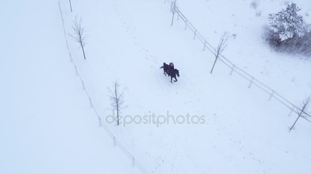 AERIAL: Ung pige rytter ridning hest om vinteren eventyrland – Stock-video