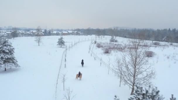 AERIAL: Jinete femenino cabalgando hacia la ciudad suburbana en invierno nevado — Vídeos de Stock