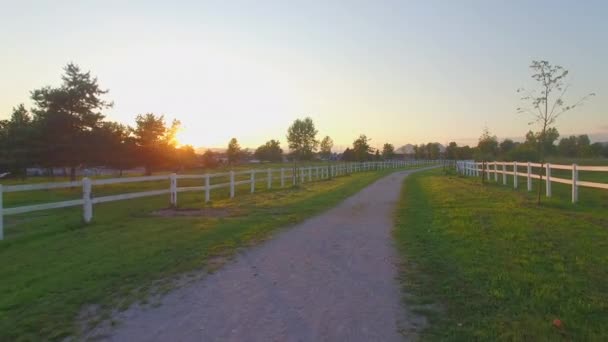 Antena: Latające wzdłuż ścieżki brud między polami zielona trawa w golden sunrise — Wideo stockowe