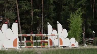 Ağır çekim: genç kız güçlü kahverengi at ile oxer çit üzerinden atlama